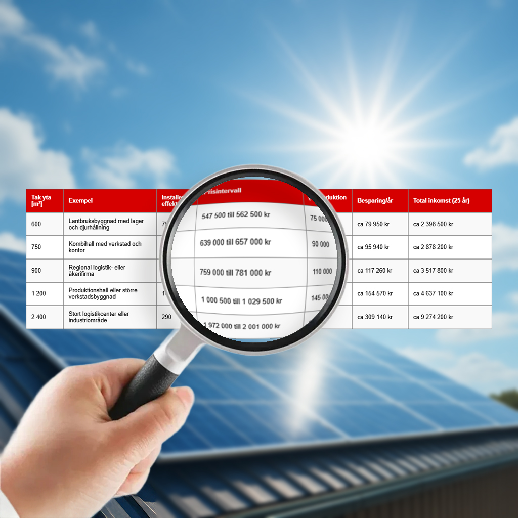 Solceller – vad kostar det? | Borga Energy